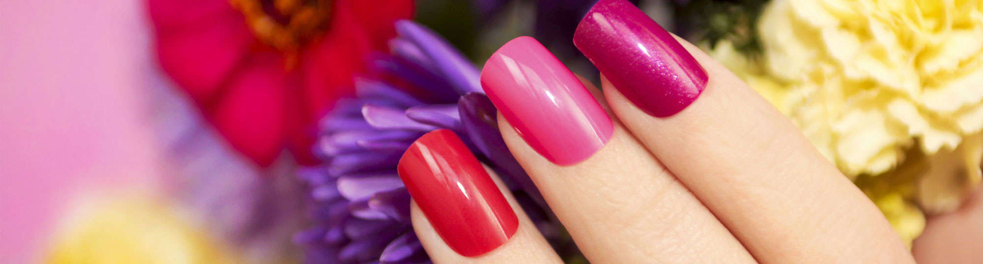 Binh's Nails 137 Ave at Luz Searles blog